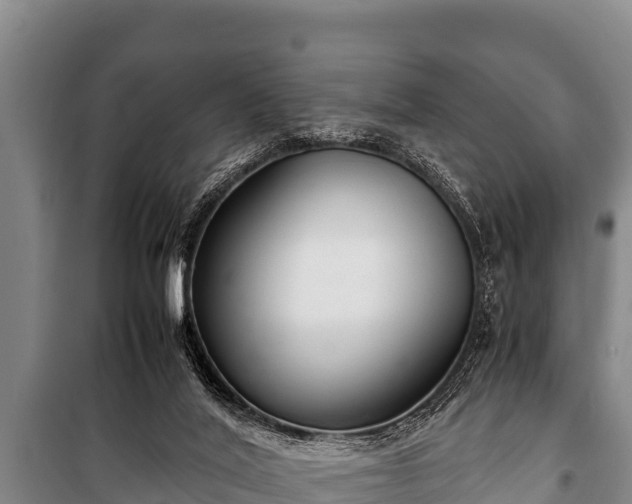 X0000100850020200806271147