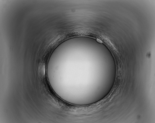 X0000100850021200806271147