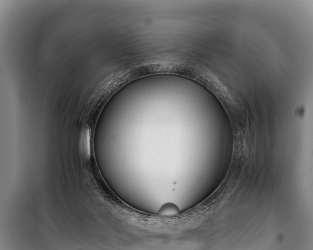 X0000100850022200806271146