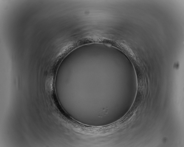 X0000100850023200806271146