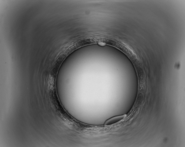 X0000100850025200806271146