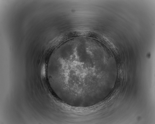 X0000100850026200806271146