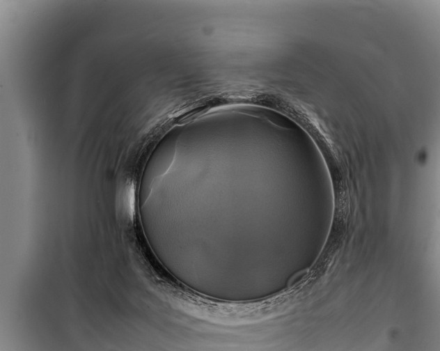 X0000100850027200806271146