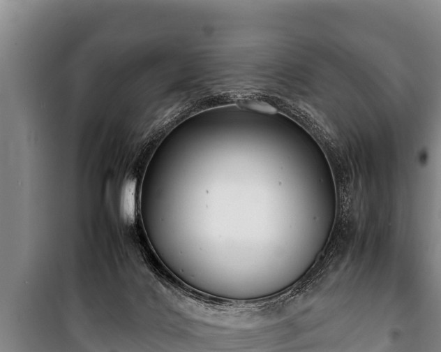 X0000100850028200806271146