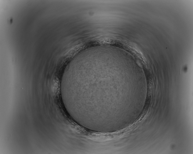 X0000100850029200806271146