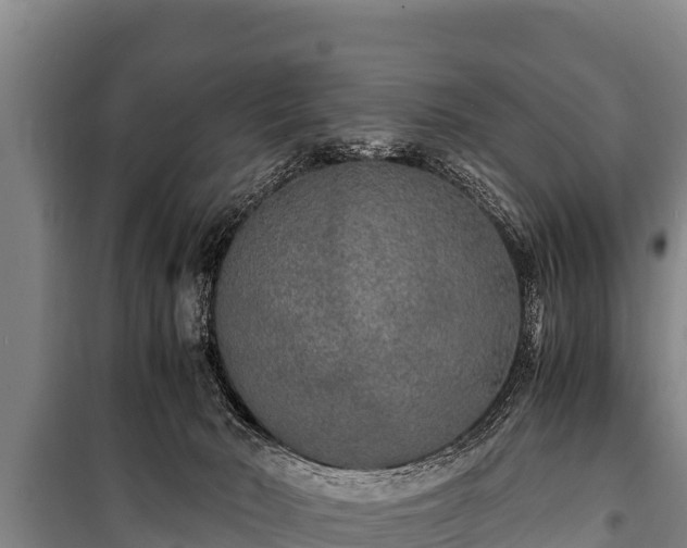 X0000100850030200806271146