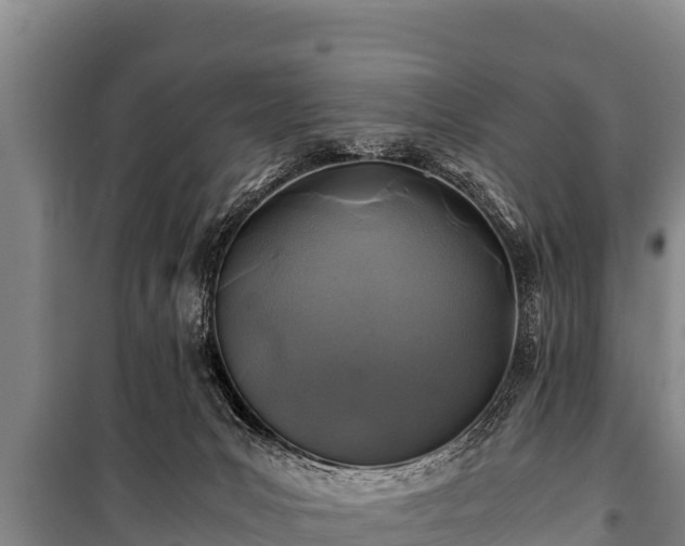 X0000100850031200806271146