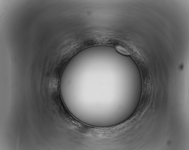 X0000100850033200806271146