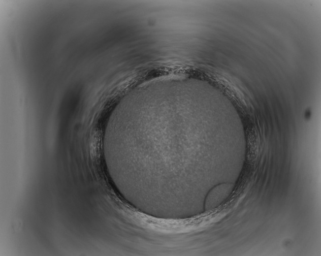 X0000100850034200806271146