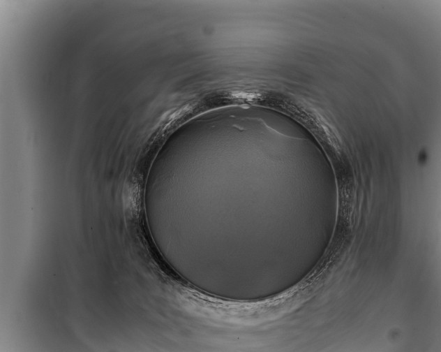 X0000100850035200806271146