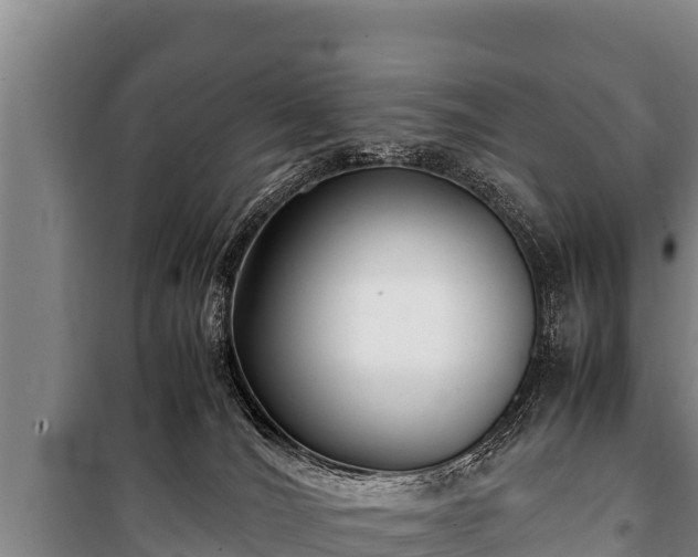 X0000100850036200806271146