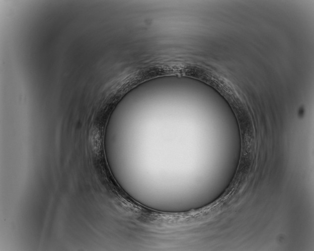 X0000100850037200806271146