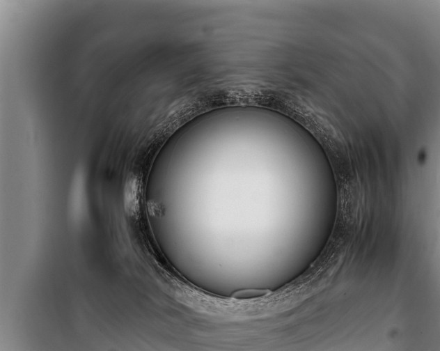 X0000100850038200806271146