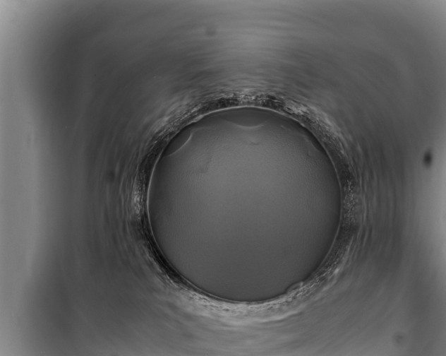 X0000100850039200806271146