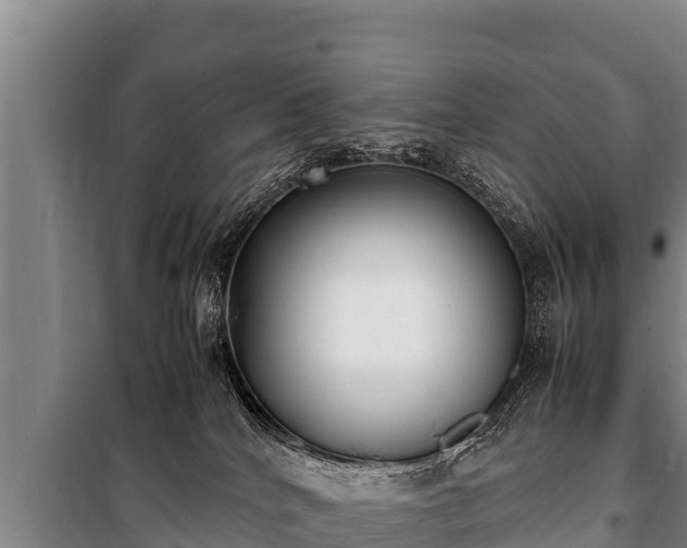 X0000100850040200806271146