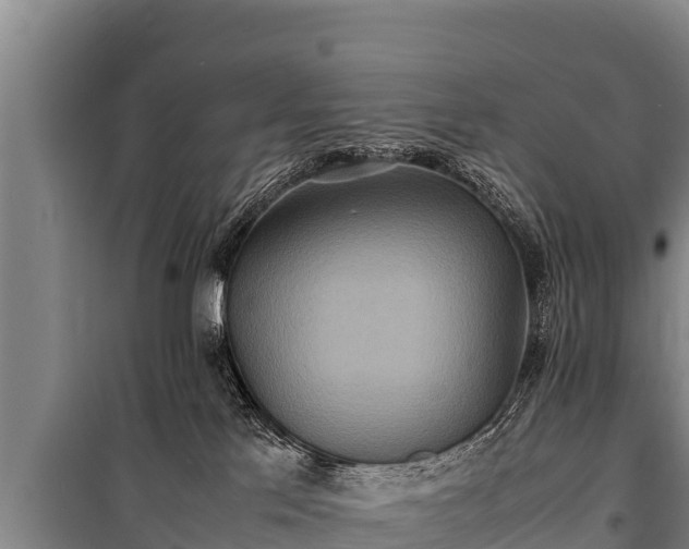 X0000100850041200806271146