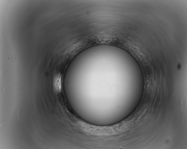 X0000100850042200806271146