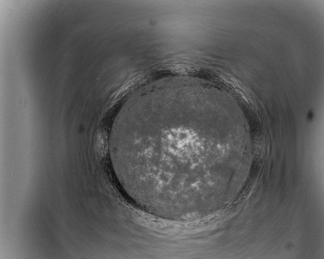 X0000100850043200806271146