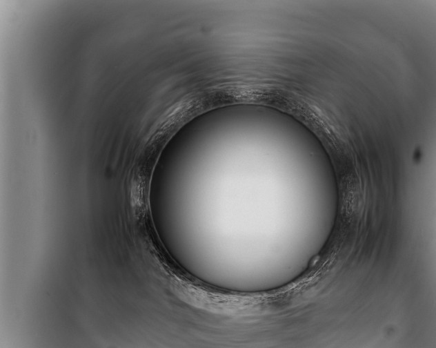 X0000100850044200806271146