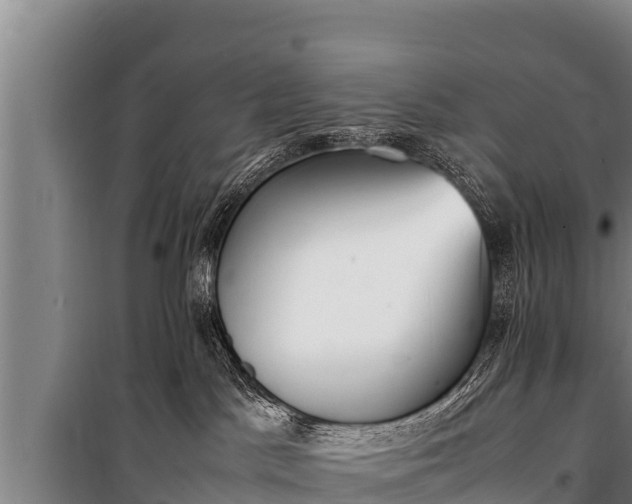 X0000100850045200806271146