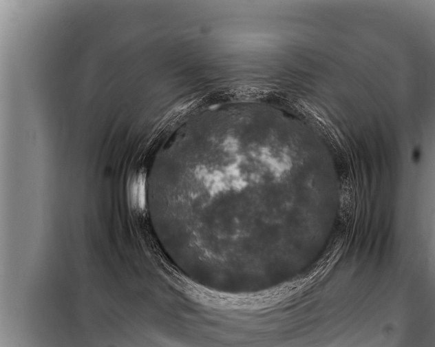 X0000100850046200806271146