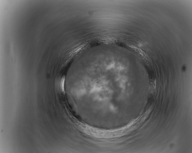 X0000100850047200806271146