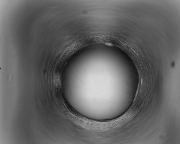 X0000100850048200806271146