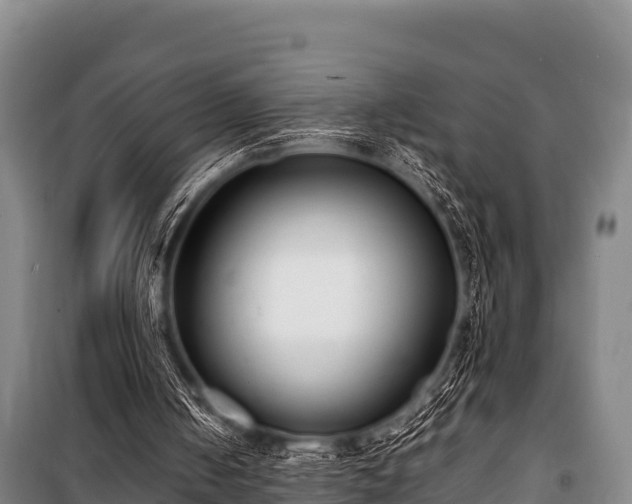 X0000100850050200806271145