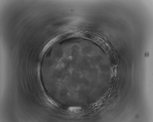 X0000100850051200806271145