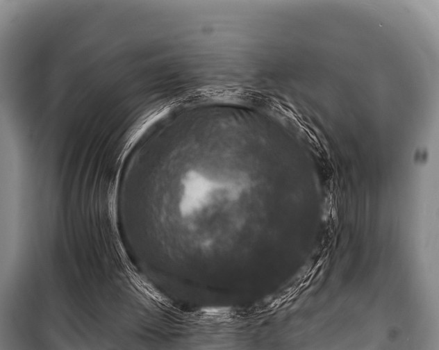 X0000100850052200806271145