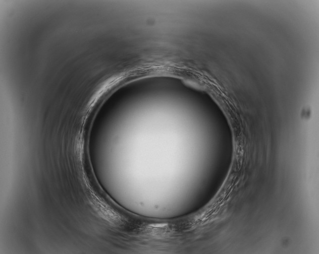 X0000100850054200806271145