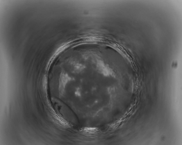 X0000100850055200806271145