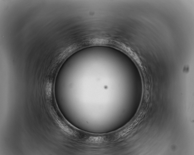 X0000100850057200806271145