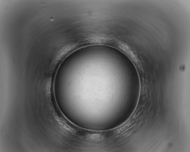 X0000100850058200806271145