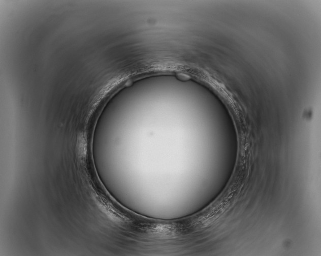 X0000100850060200806271145