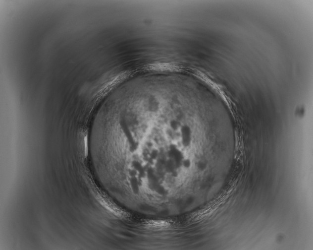 X0000100850061200806271145