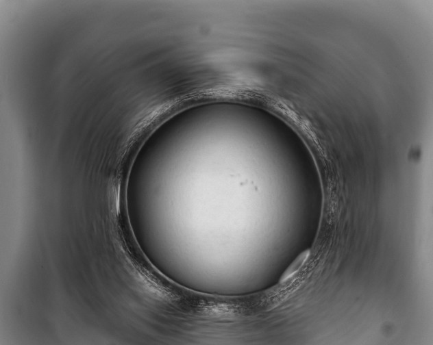 X0000100850062200806271145