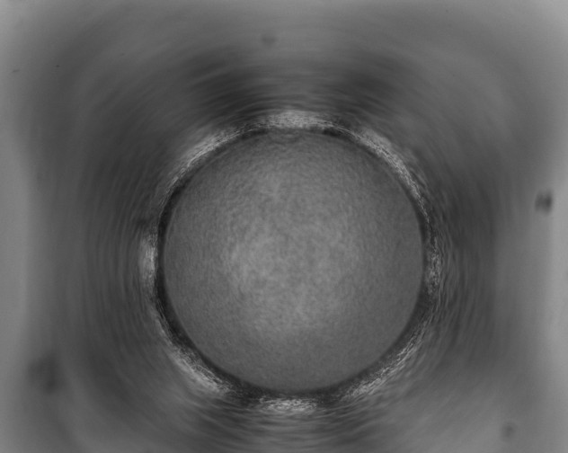 X0000100850063200806271145