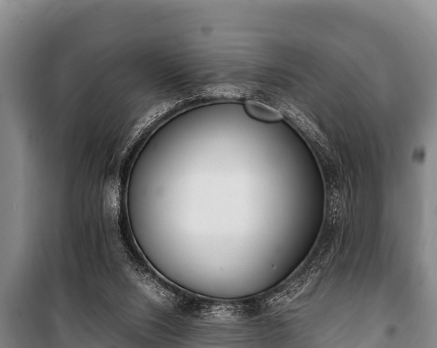 X0000100850064200806271145