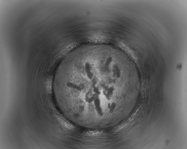 X0000100850065200806271146