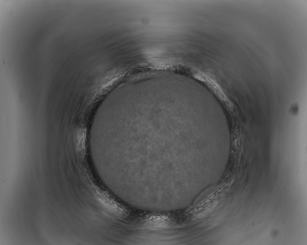 X0000100850066200806271146