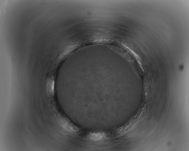 X0000100850067200806271146