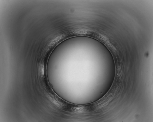 X0000100850068200806271146