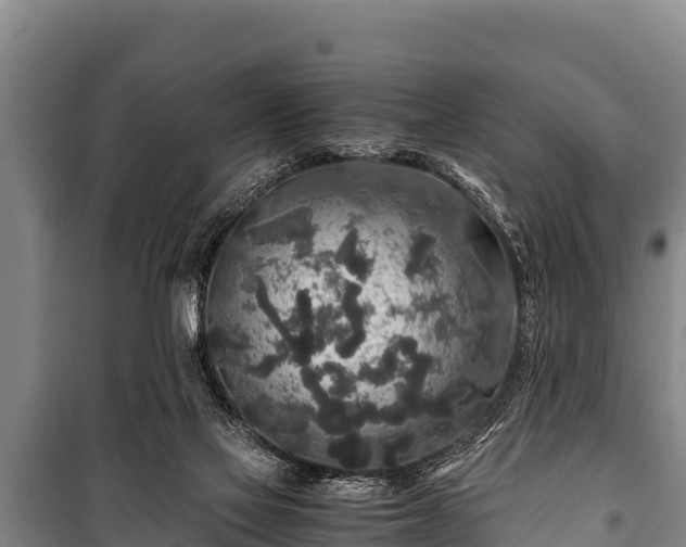 X0000100850069200806271146