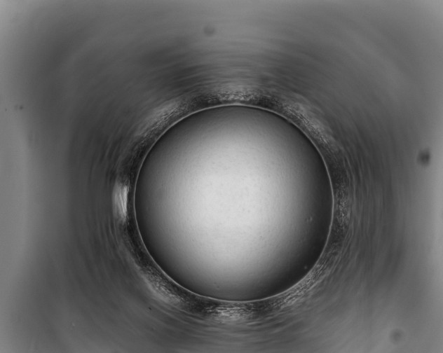 X0000100850070200806271146