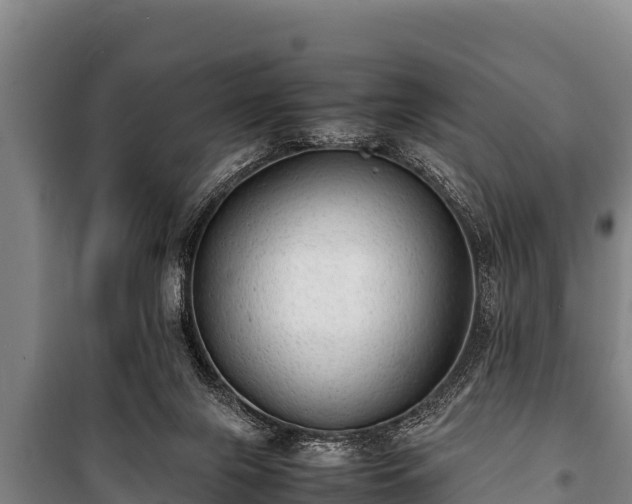 X0000100850071200806271146