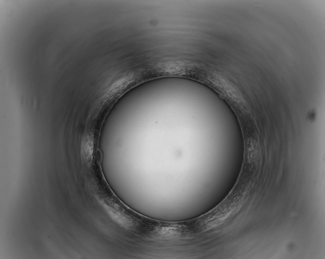 X0000100850072200806271146