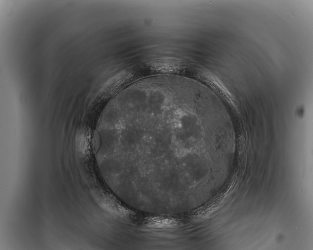 X0000100850073200806271146