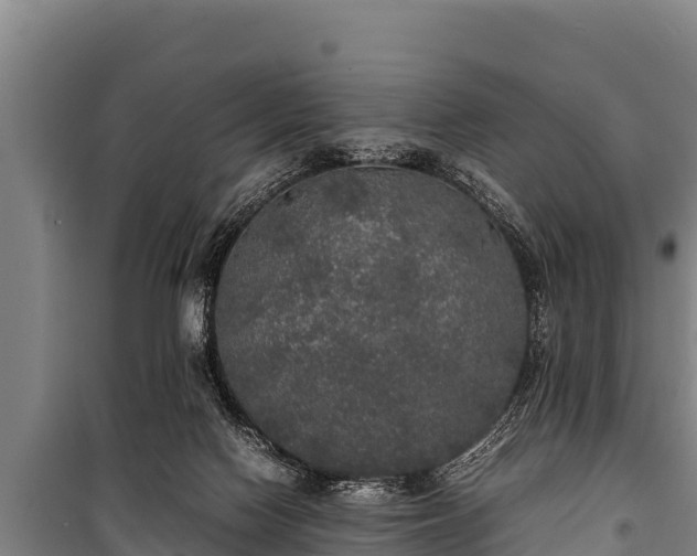 X0000100850074200806271146