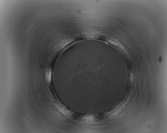 X0000100850076200806271146